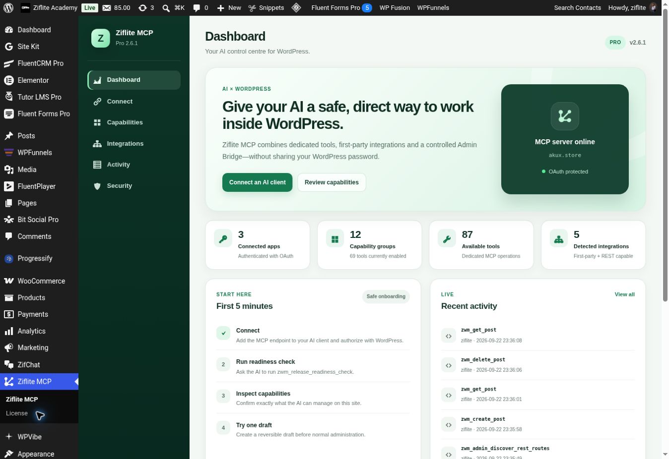Ziflite MCP dashboard, showing Connect navigation, server online status and Connect an AI client button